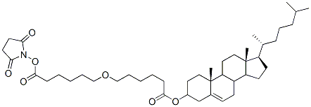 CAS 登录号：103003-22-1， (2,5-二氧代吡咯烷-1-基)6-[[(3S,10R,13R,17R)-10,13-二甲基-17-[(2R)-6-甲基庚烷-2-基]-2,3,4,7,8,9,11,12,14,15,16,17-十二氢-1H-环戊二烯并[a]菲-3-基]氧基]己酸酯