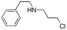 CAS 登录号：110970-01-9， 3-氯-N-(2-苯基乙基)丙-1-胺