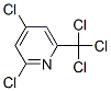 CAS#: 1129-19-7， 2,4-Dichloro-6-(Trichloromethyl)Pyridine