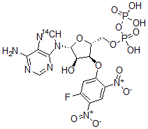 CAS#: 117414-72-9， 3'-O-(5-Fluoro-2,4-Dinitrophenyl)Adp Ether