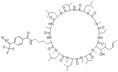 CAS 登录号：126871-92-9， N(epsilon)-(重氮基三氟乙基)苯甲酰基-赖氨酰(8)-环孢菌素