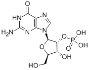 CAS 登录号：130-50-7， [(3R,4R,5R)-2-(2-氨基-6-氧代-3H-嘌呤-9-基)-4-羟基-5-(羟基甲基)四氢呋喃-3-基]磷酸二氢酯
