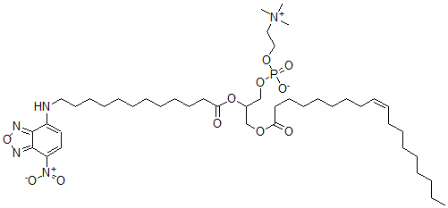CAS#: 131479-28-2， [2-[12-[(4-Nitro-2,1,3-Benzoxadiazol-7-Yl)Amino]Dodecanoyloxy]-3-[(Z)-Octadec-9-Enoyl]Oxypropyl] 2-Trimethylazaniumylethyl Phosphate