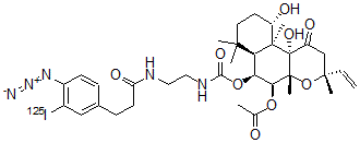 CAS 登录号：136103-68-9， N-(3-(4-叠氮基-3-碘苯基)丙酰胺)-6-氨基乙基氨基甲酰毛喉素