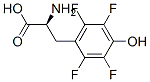 CAS#: 157807-83-5， (2R)-2-Amino-3-(2,3,5,6-Tetrafluoro-4-Hydroxyphenyl)Propanoic Acid