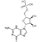 CAS#: 15867-02-4， 2-Amino-9-(5-O-Phosphono-beta-D-Ribofuranosyl)-9H-Purine-6-Thiol
