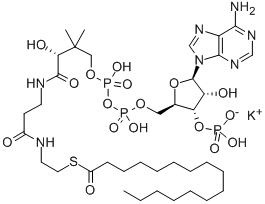CAS#: 1763-10-6， Coenzyme A-S-Hexadecanoate