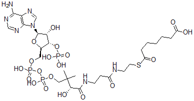 CAS#: 18907-20-5， Pimeloyl-Coenzyme A