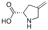 CAS#: 20309-87-9， 4-Methyleneproline