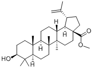 CAS#: 2259-06-5， 28-O-Methylbetulinic Acid