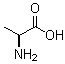CAS 登录号：25191-17-7， L-丙氨酸均聚物