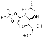 CAS#: 25249-56-3, Poly(N-Acetylglucosamine 1-Phosphate)