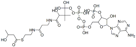 CAS#: 2871-66-1， beta-Hydroxybutyryl-coenzyme A