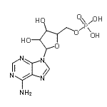 CAS 登录号：31077-38-0， 9-(5-O-膦酰呋喃戊糖基)-9H-嘌呤-6-胺