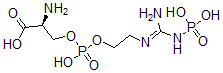 CAS#: 3160-53-0， (2S)-2-Amino-3-[2-[[Amino-(Phosphonoamino)Methylidene]Amino]Ethoxy-Hydroxyphosphoryl]Oxypropanoic Acid