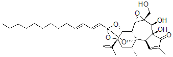 CAS 登录号：33465-16-6， 胡拉毒素