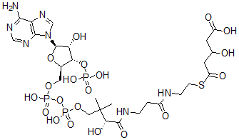 CAS#: 35192-10-0， 5-[2-[3-[[(2R)-4-[[[(2R,3S,4R,5R)-5-(6-Aminopurin-9-Yl)-4-Hydroxy-3-Phosphonooxyoxolan-2-Yl]Methoxy-Hydroxyphosphoryl]Oxy-Hydroxyphosphoryl]Oxy-2-Hydroxy-3,3-Dimethylbutanoyl]Amino]Propanoylamino]Ethylsulfanyl]-3-Hydroxy-5-Oxopentanoic Acid