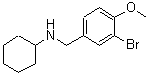 CAS 登录号：355381-65-6， N-(3-溴-4-甲氧基苄基)环己胺