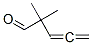 CAS#: 4058-51-9， 2,2-Dimethylpenta-3,4-Dienal