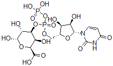 CAS#: 50722-58-2， Udp-Galacturonic Acid