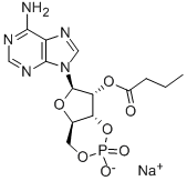 CAS#: 55443-13-5， [6-(6-Aminopurin-9-yl)-2-hydroxy-2-oxo-4a,6,7,7a-tetrahydro-4H-furo[3, 2-d][1,3,2]dioxaphosphinin-7-yl] butanoate Sodium Salt
