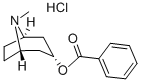 CAS#: 55623-27-3， Endo-Tropacocaine (8-Methyl-8-Azabicyclo[3.2.1]Oct-3-Yl) Benzoate Hydrochloride