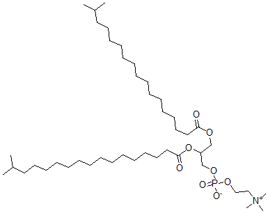 CAS 登录号:58045-79-7, 1,2-异硬脂酰磷脂酰胆碱