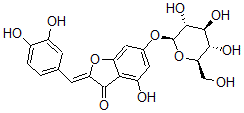 CAS 登录号：633-15-8， 2-[(Z)-(3,4-二羟基苯基)亚甲基]-4-羟基-6-(beta-D-吡喃葡萄糖基氧基)-3(2H)-苯并呋喃酮