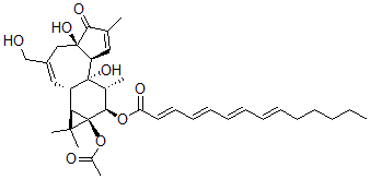 CAS#: 64604-09-7， 12-O-Tetradeca-2,4,6,8-Tetraenoylphorbol-13-Acetate