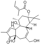 CAS#: 65700-60-9， 12-Deoxyphorbol-13-Angelate