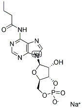 CAS 登录号：70253-67-7， N-(1-氧代丁基)-腺苷环-3',5'-(磷酸氢酯)单钠盐