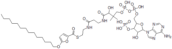 CAS#: 71865-60-6， 5-(Tetradecyloxy)-2-Furoyl-Coenzyme A