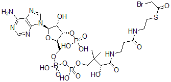 CAS 登录号：7303-38-0， 2-溴乙酰基辅酶A