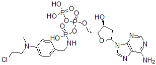 CAS#: 75795-00-5， [[(2R,3S,5R)-5-(6-Aminopurin-9-Yl)-3-Hydroxyoxolan-2-Yl]Methoxy-Phosphonooxyphosphoryl]Oxy-N-[[4-(2-Chloroethyl-Methylamino)Phenyl]Methyl]Phosphonamidic Acid