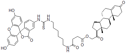 CAS#: 78249-64-6， [2-[(8S,9S,10R,13S,14S,17S)-10,13-Dimethyl-3-Oxo-1,2,6,7,8,9,11,12,14,15,16,17-Dodecahydrocyclopenta[a]Phenanthren-17-Yl]-2-Oxoethyl] 4-[6-[(3',6'-Dihydroxy-3-Oxospiro[2-Benzofuran-1,9'-Xanthene]-5-Yl)Carbamothioylamino]Hexylamino]-4-Oxobutanoate