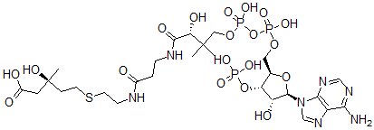 CAS#: 78901-91-4， 3-Hydroxy-3-methyl-4-carboxybutyl-coenzyme A