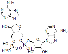 CAS#: 80186-83-0， Adenyl-5'-O-Phosphorothioate-(3'-5')Adenosine