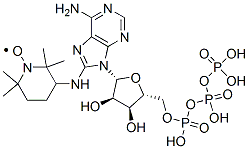 CAS#: 80538-64-3， 8-(2,2,6,6-Tetramethylpiperidin-4-Yl-1-Oxyl)Amino-Adenosine Triphosphate
