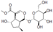 CAS#: 81203-56-7， Penstemonoside