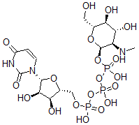 CAS#: 84283-22-7， Uridine 5'-(trihydrogen diphosphate), mono(2-deoxy-2-(methylamino)-O-phosphono-alpha-D-glucopyranosyl) ester