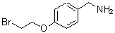 CAS#: 887580-80-5， 1-[4-(2-Bromoethoxy)phenyl]methanamine