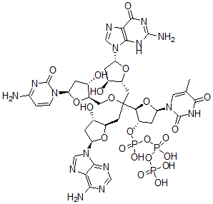 CAS#: 91126-91-9， Deoxy-(Adenylyl-Guanylyl-Cytidylyl-Thymidine)
