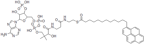 CAS 登录号：93255-33-5， 芘月桂酰基-辅酶 A
