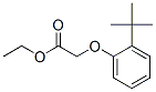 CAS#: 93893-53-9， Ethyl [2-(1,1-Dimethylethyl)Phenoxy]Acetate