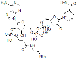 CAS 登录号：95754-66-8， 2'-O-(N-(2-氨基乙基)氨基甲酰基乙基)膦酰-NAD