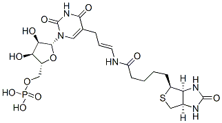 CAS#: 97950-37-3， 5-(N-Biotinyl-3-Aminoallyl)Uridine 5'-Monophosphate