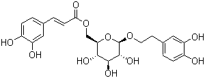Calceolarioside B molecular structure (CAS 105471-98-5)
