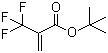 structure of CAS# 105935-24-8, tert-Butyl 2-(trifluoromethyl)acrylate;tert-Butyl 2-trifluoromethylacrylate
