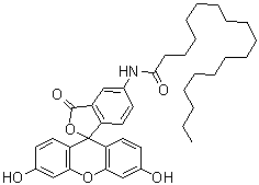 5-N-(十八烷酰基)氨基荧光素分子结构 (CAS 110698-53-8)