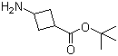 结构式 CAS# 1173205-83-8, 3-氨基环丁酸叔丁酯; 3-氨基环丁烷羧酸叔丁酯